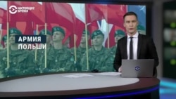 "Дикобраз на дороге диктатора". Польша готовится к возможному нападению России: численность армии планируют довести до 300 тысяч человек  "Дикобраз на дороге диктатора". Польша готовится к возможному нападению России: численность армии планируют довести до 300 тысяч человек