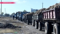 Как разорить киргизского свекольщика Как разорить киргизского свекольщика