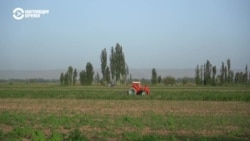 Почему в Кыргызстане становится все меньше трудовых мигрантов из Узбекистана Почему в Кыргызстане становится все меньше трудовых мигрантов из Узбекистана