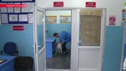 Чем обернется закрытие единственной государственной ветеринарной клиники в Таджикистане Чем обернется закрытие единственной государственной ветеринарной клиники в Таджикистане