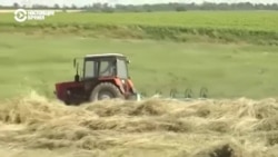 "Перспектив нет никаких". Как живут люди на неподконтрольных Киеву территориях Донбасса "Перспектив нет никаких". Как живут люди на неподконтрольных Киеву территориях Донбасса