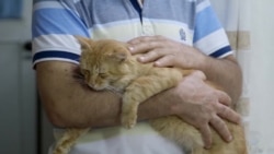 За что судят Свидетелей Иеговы в Кабардино-Балкарии За что судят Свидетелей Иеговы в Кабардино-Балкарии