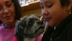 Собака научит бегло читать по-английски Собака научит бегло читать по-английски