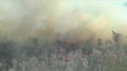 Медведев прилетел в Красноярск обсудить пожары Медведев прилетел в Красноярск обсудить пожары