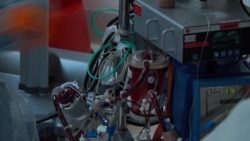 Почему провалилась "шведская модель" борьбы с коронавирусом Почему провалилась "шведская модель" борьбы с коронавирусом