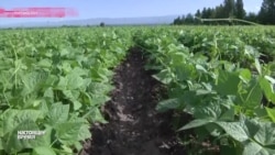 Пограничный конроль ЕАЭС Пограничный конроль ЕАЭС