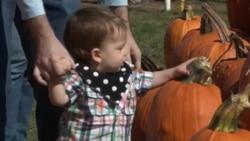 Америка готовится к Хэллоуину Америка готовится к Хэллоуину