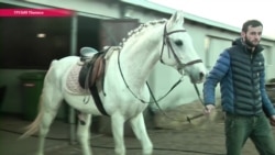 Тбилисский зоопарк готовится к новоселью Тбилисский зоопарк готовится к новоселью