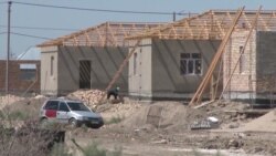 В Казахстане многодетные семьи получили жилье с насекомыми В Казахстане многодетные семьи получили жилье с насекомыми