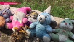 "Самолет нас спас": жители Грабово вспоминают катастрофу "Боинга" "Самолет нас спас": жители Грабово вспоминают катастрофу "Боинга"