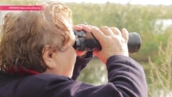 Конфискация или грабеж? Пограничники отбирают у украинцев землю в приграничье Конфискация или грабеж? Пограничники отбирают у украинцев землю в приграничье