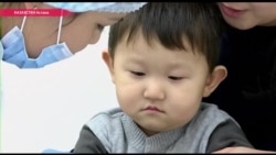 Почему опыт Израиля не прижился на казахской почве Почему опыт Израиля не прижился на казахской почве