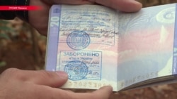 "6 часов он просидел в клетке с мешком на голове" – жена высланного из Украины соратника Саакашвили "6 часов он просидел в клетке с мешком на голове" – жена высланного из Украины соратника Саакашвили