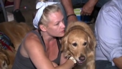 "Служба собачьей помощи" в Орландо "Служба собачьей помощи" в Орландо