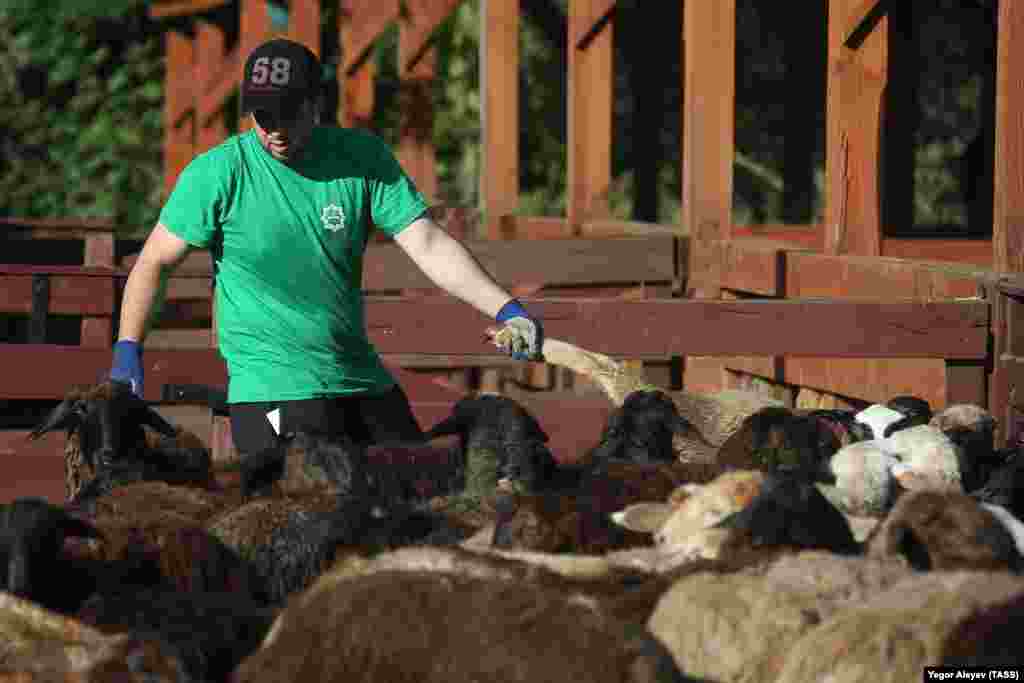 Казань, Россия 