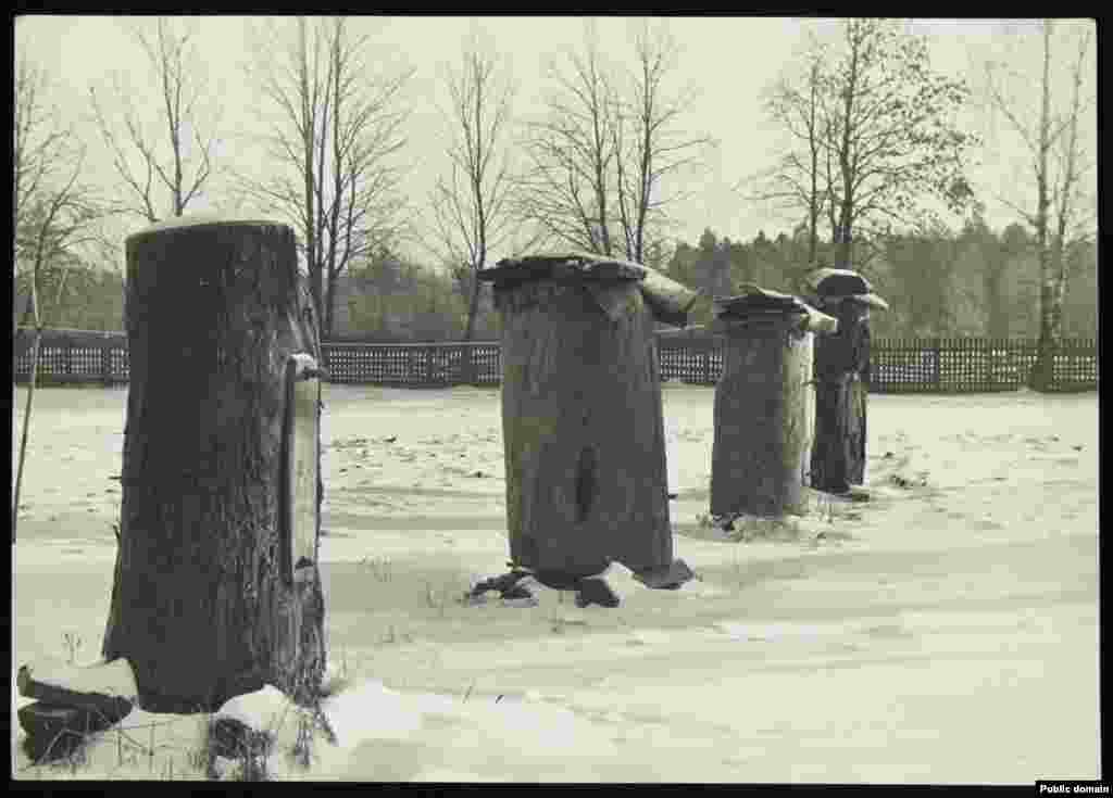 Типичная пасека в Полесье 