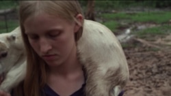 Festival de Cannes: Остановите сердцебиение Festival de Cannes: Остановите сердцебиение