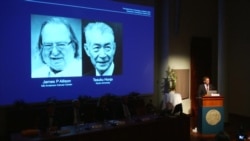 "Новая парадигма в лечении рака": за что дали Нобелевскую премию-2018 по медицине "Новая парадигма в лечении рака": за что дали Нобелевскую премию-2018 по медицине