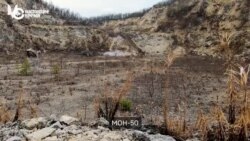 Почему Украина вслед за другими странами выходит из Оттавской конвенции о запрете противопехотных мин Почему Украина вслед за другими странами выходит из Оттавской конвенции о запрете противопехотных мин