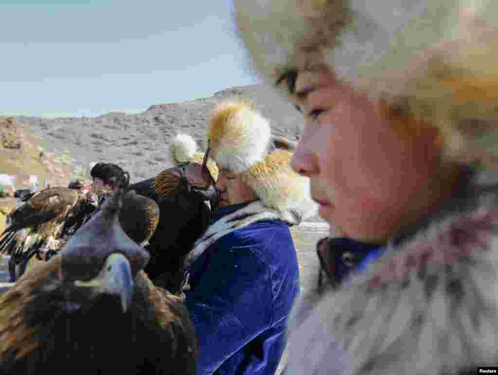 Охотники используют клобучки – колпак на голову птицы. Он надевается, чтобы птица не отвлекалась на окружающие предметы до состязаний и в перерывах между этапами