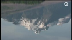 Как глобальное потепление уничтожает национальный парк Монтаны Как глобальное потепление уничтожает национальный парк Монтаны