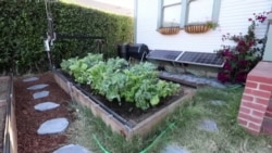 Робот-огородник: сам сажает, сам поливает, сам удобряет Робот-огородник: сам сажает, сам поливает, сам удобряет