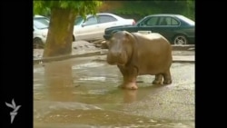 Наводнение в Тбилиси Наводнение в Тбилиси