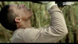 Бразильская мечта: авангардная сатира на тему Бразилии в XXI веке Бразильская мечта: авангардная сатира на тему Бразилии в XXI веке