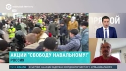 Политолог Николай Петров – о протестах в поддержку Навального Политолог Николай Петров – о протестах в поддержку Навального