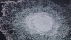 Германия выдала ордера на арест граждан Украины по делу о подрыве "Северного потока": что известно Германия выдала ордера на арест граждан Украины по делу о подрыве "Северного потока": что известно