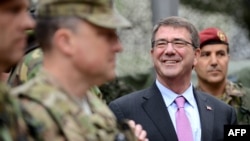 Министр обороны США Эштон Картер во время визита осмотра войск НАТО в Мюнстере в июне 2015 года