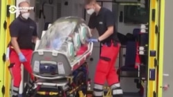 Отравление Навального: как развивались события Отравление Навального: как развивались события