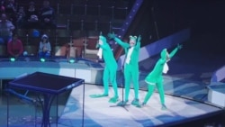 Готовы ли в Украине к представлениям без животных Готовы ли в Украине к представлениям без животных