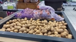 Почему в Беларуси возник дефицит картофеля Почему в Беларуси возник дефицит картофеля