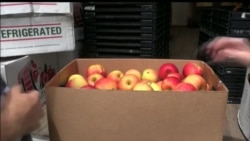 Спасти рядовой овощ Спасти рядовой овощ