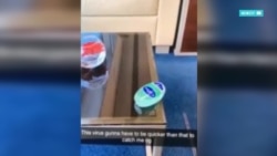 Как коронавирус провоцирует проявления расизма и ксенофобии Как коронавирус провоцирует проявления расизма и ксенофобии