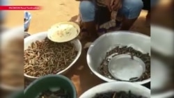 Что известно про убийство российских журналистов в ЦАР Что известно про убийство российских журналистов в ЦАР