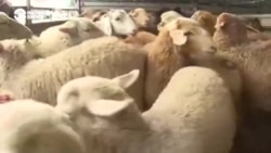 В Казахстане подорожали продукты В Казахстане подорожали продукты