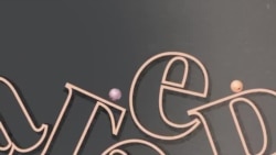 Реальный разговор: Курская область. На охоту вышли мародеры
 Реальный разговор: Курская область. На охоту вышли мародеры