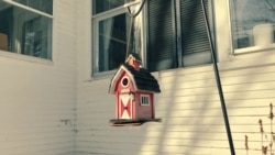 Америка. Большое путешествие: Вермонт Америка. Большое путешествие: Вермонт