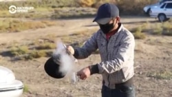 Мигранты из Узбекистана застряли на российско-казахстанской границе Мигранты из Узбекистана застряли на российско-казахстанской границе