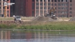 В Нур-Султане экозащитники обвиняют чиновников в уничтожении озер В Нур-Султане экозащитники обвиняют чиновников в уничтожении озер