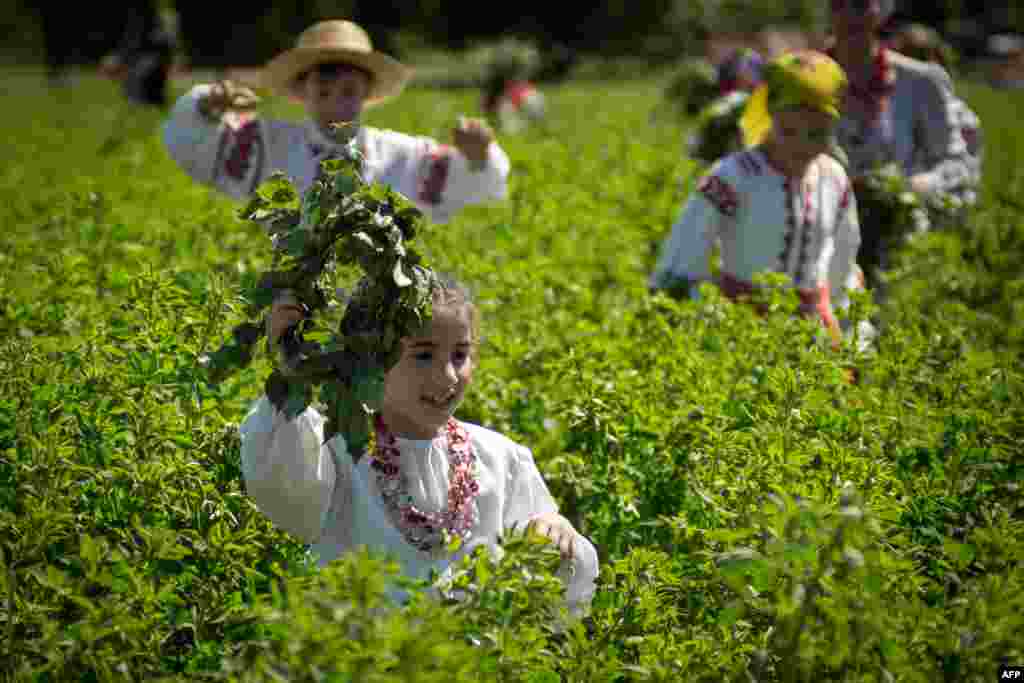 История фестиваля берет начало у древних славян. В языческие времена Русалья Неделя считалась временем, когда русалки, выйдя из воды, еще жили на земле 