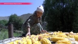 И в Красной могиле можно жить И в Красной могиле можно жить