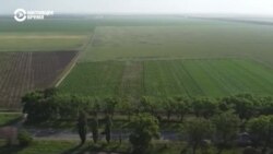 В Украине заработал рынок земли В Украине заработал рынок земли