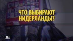 Выборы в Нидерландах 15 марта: почему это важно для всего мира? Выборы в Нидерландах 15 марта: почему это важно для всего мира?