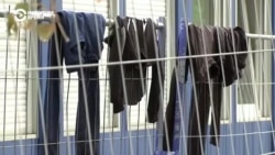 Германия планирует ввести пограничные патрули из-за беженцев, прибывающих через Беларусь Германия планирует ввести пограничные патрули из-за беженцев, прибывающих через Беларусь