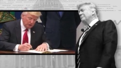 100 дней Трампа 100 дней Трампа