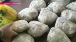 В Таджикистане изъято 150 кг наркотиков В Таджикистане изъято 150 кг наркотиков