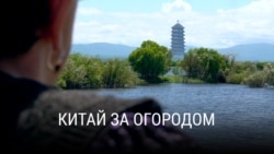 "Китай за огородом". Фильм Станислава Феофанова "Китай за огородом". Фильм Станислава Феофанова